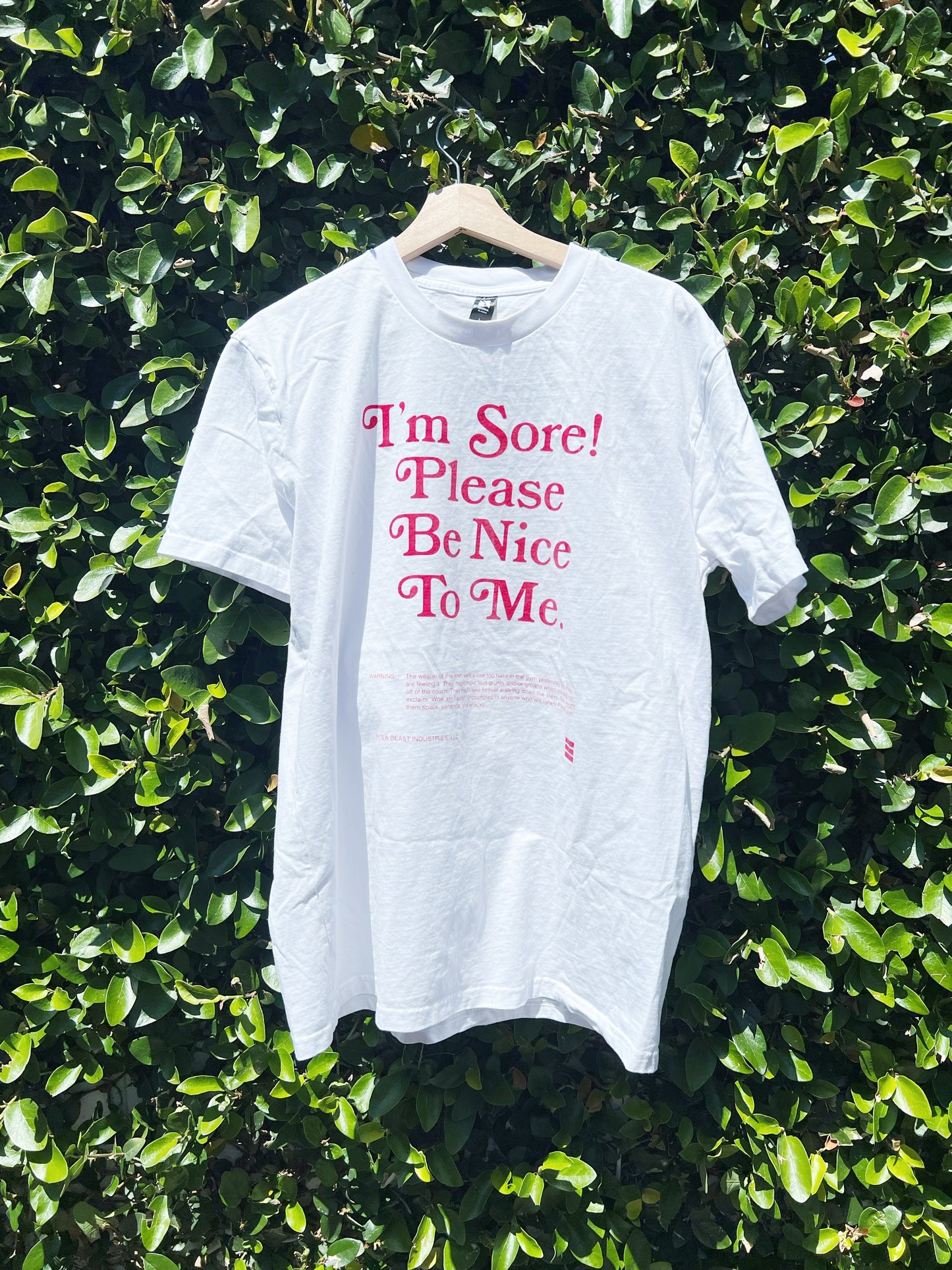 I'm Sore! Please Be Nice to Me T-Shirt