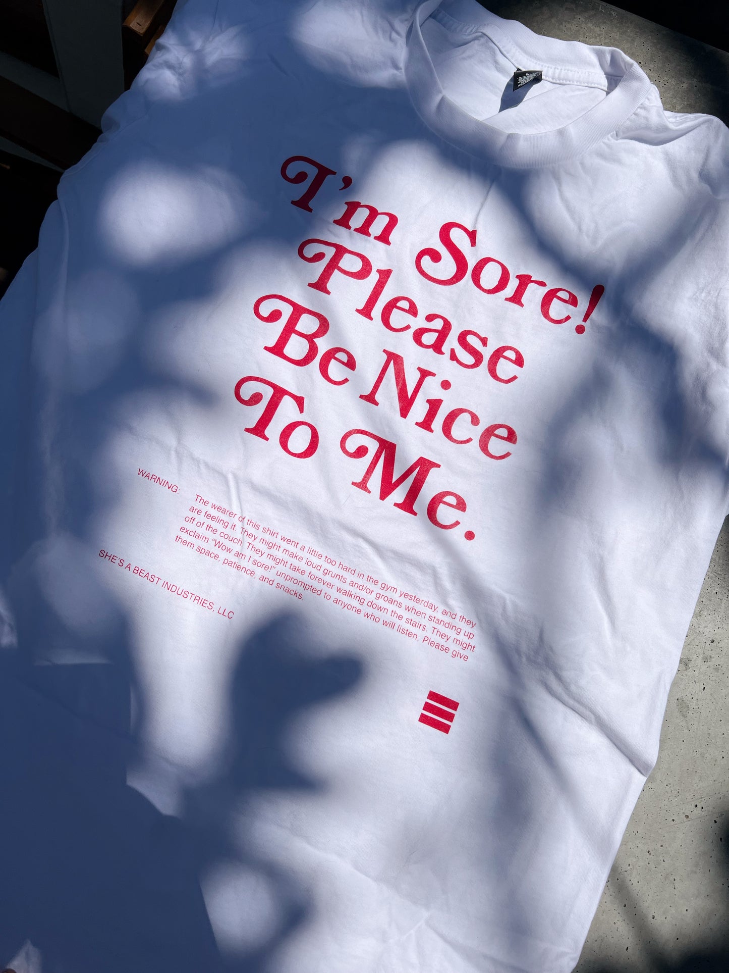 I'm Sore! Please Be Nice to Me T-Shirt